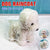Puppy Waterproof Pet Dog Raincoat Jacket Clothes Vest Rain Coat Outdoor Hoodies White - M