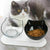 Double Cat Bowl Pet Bowls Stand Dog Elevated Feeder Food Water Raised Lifted Au - Transparency+Transparency