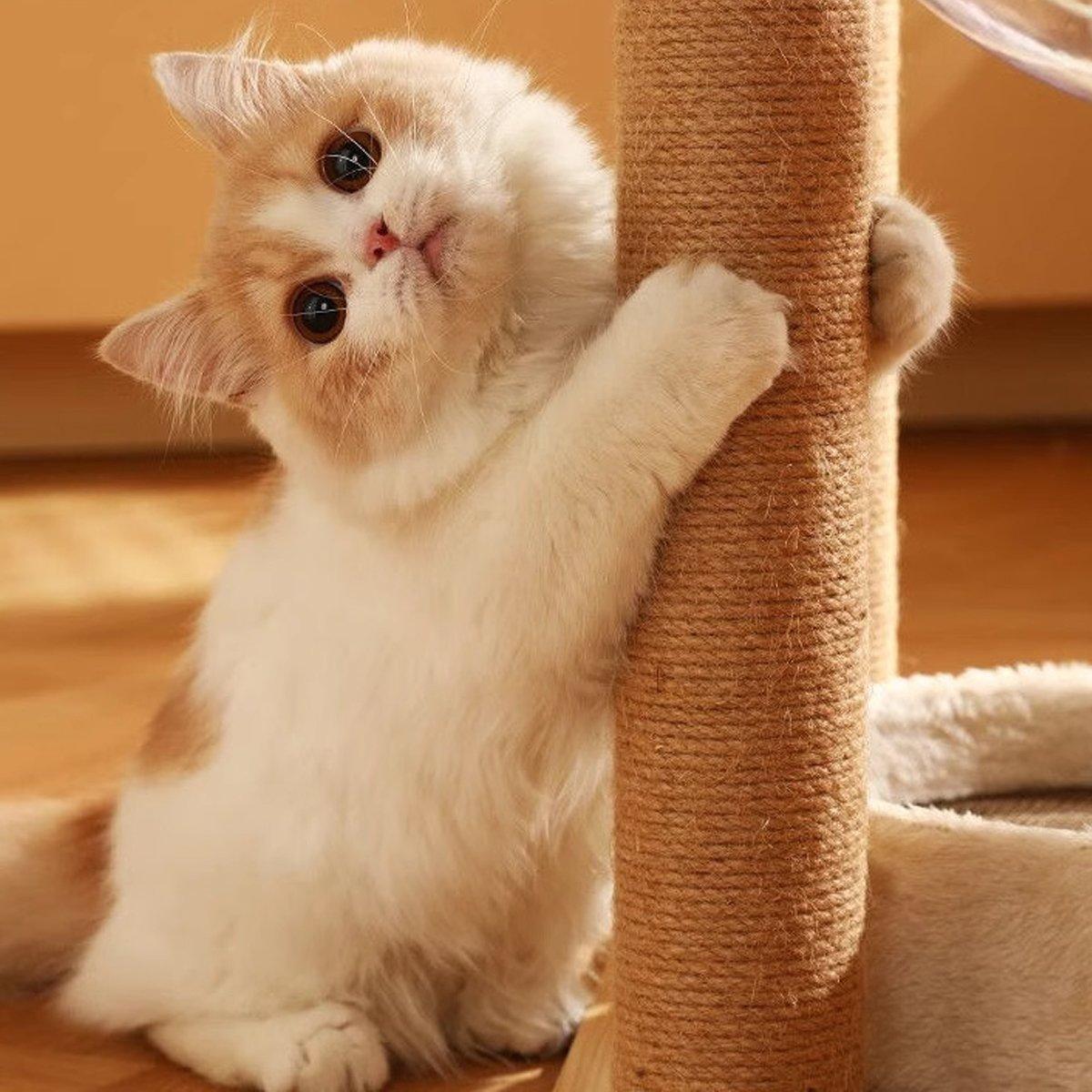 2pcs Sisal Cat Scratching Post Climbing Frame Replacement Pole for Cats Activity - 20cm