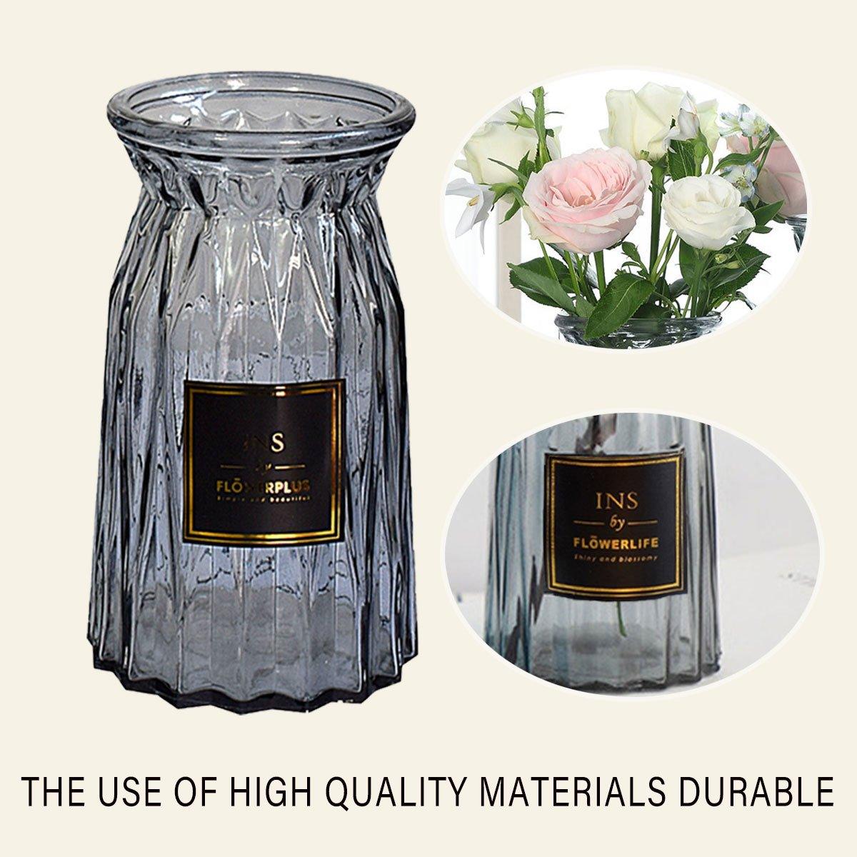 2 Pcs Glass Vase Hydroponic Flower Arrangement Vase for Living Room Decoration - Transparent