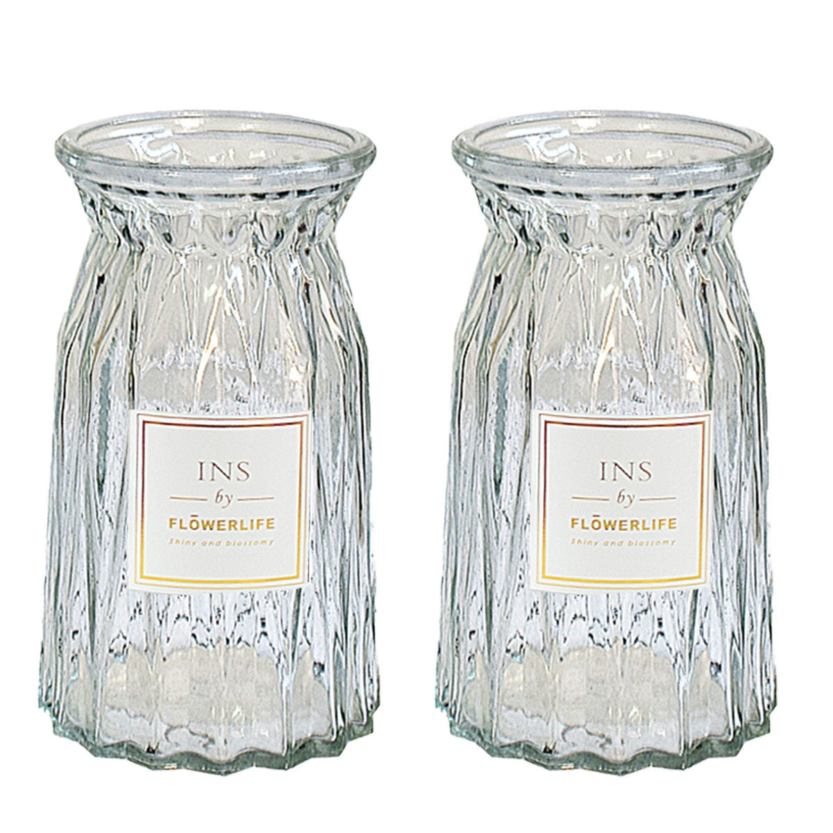 2 Pcs Glass Vase Hydroponic Flower Arrangement Vase for Living Room Decoration - Transparent