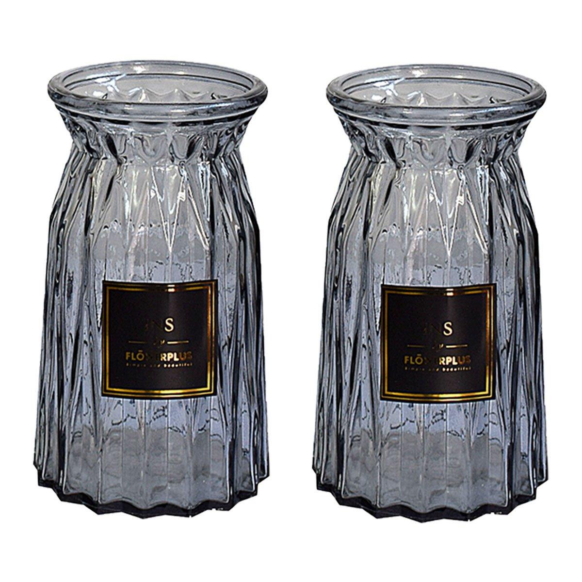 2 Pcs Glass Vase Hydroponic Flower Arrangement Vase for Living Room Decoration - Transparent