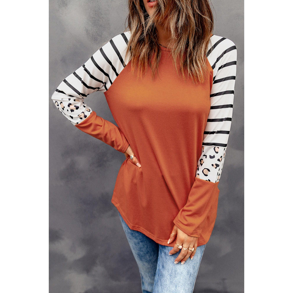 Azura Exchange Animal Print Long Sleeve Top with Striped Colorblock - L