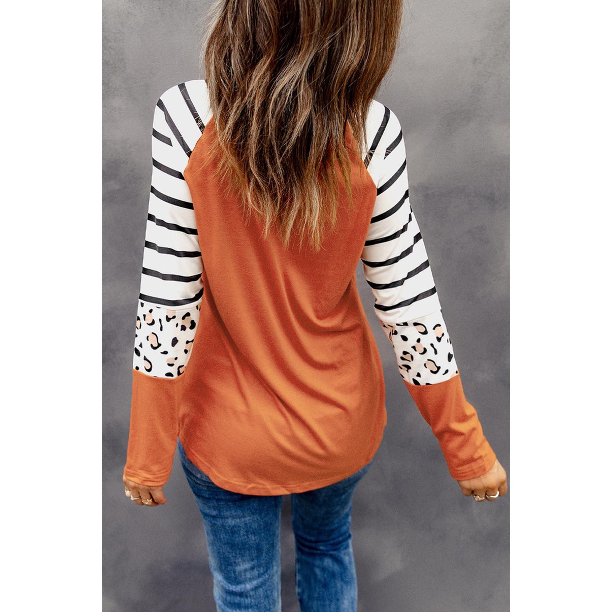 Azura Exchange Animal Print Long Sleeve Top with Striped Colorblock - L