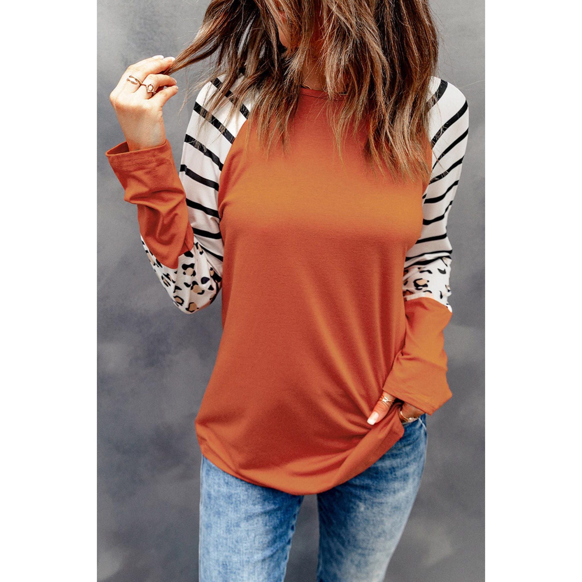 Azura Exchange Animal Print Long Sleeve Top with Striped Colorblock - L