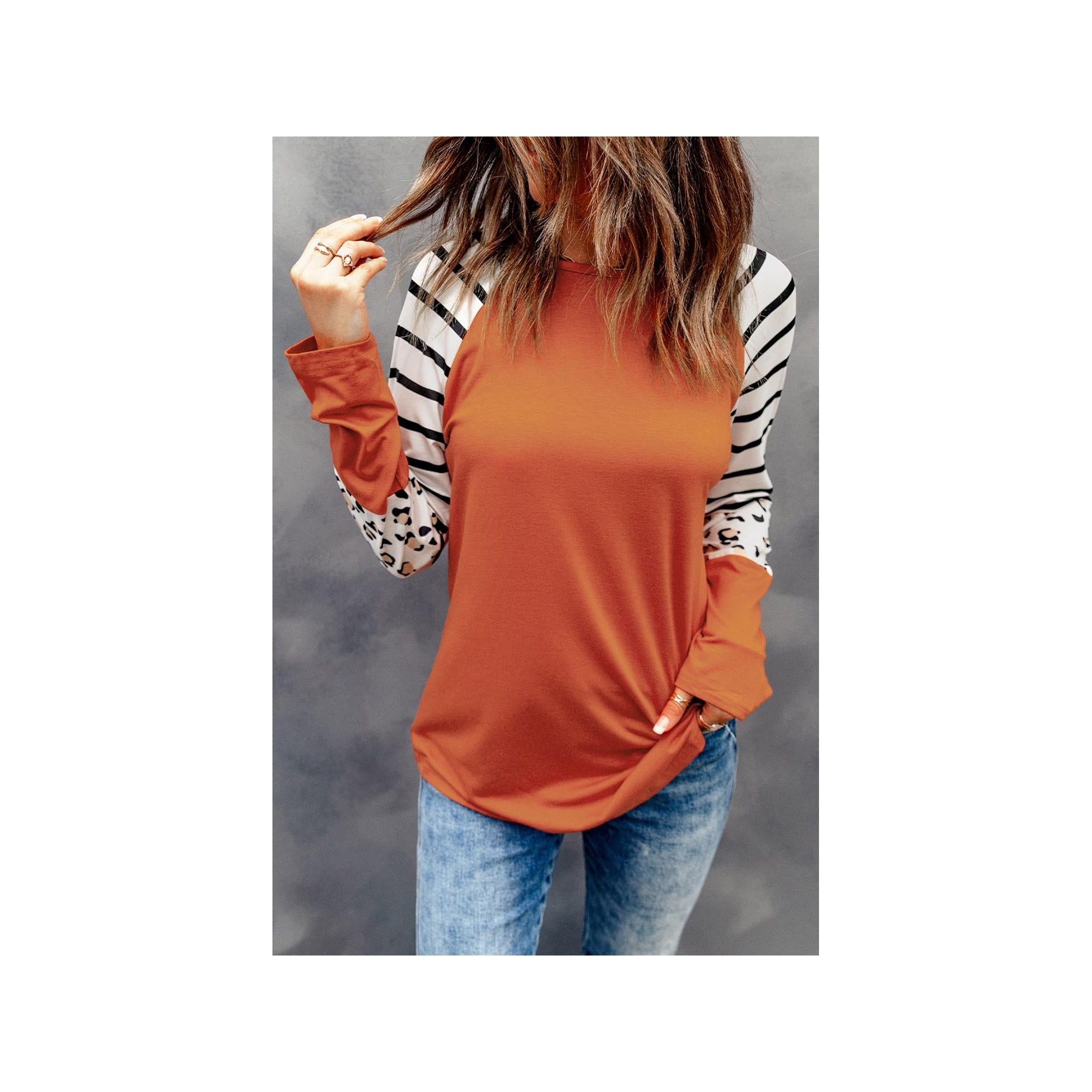 Azura Exchange Animal Print Long Sleeve Top with Striped Colorblock - XL