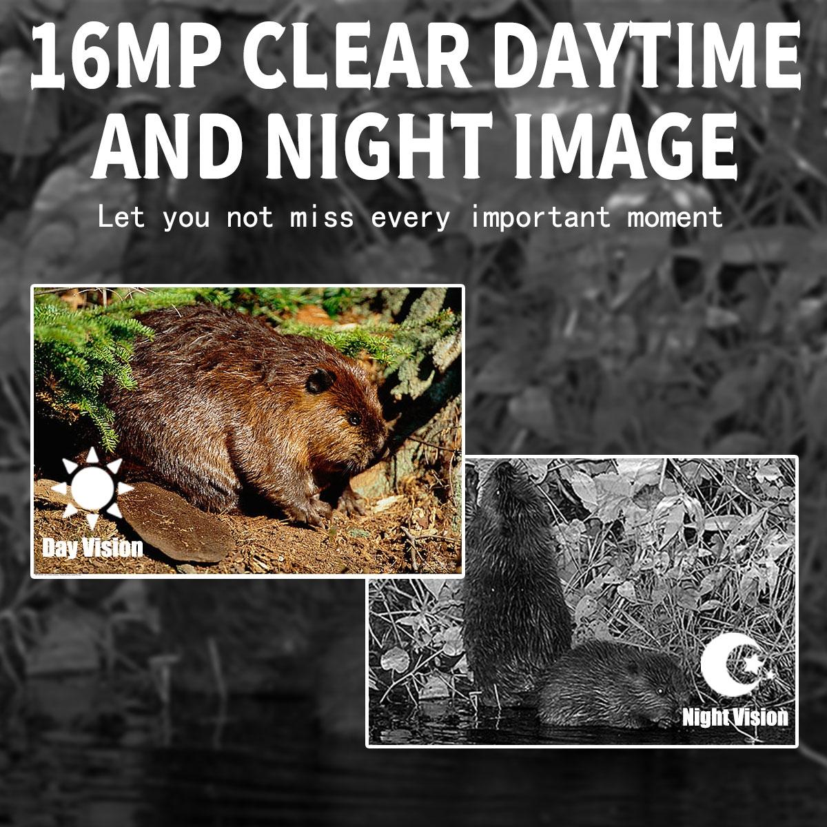 16mp Outdoor Hunting Camera with Night Vision and Motion Activation