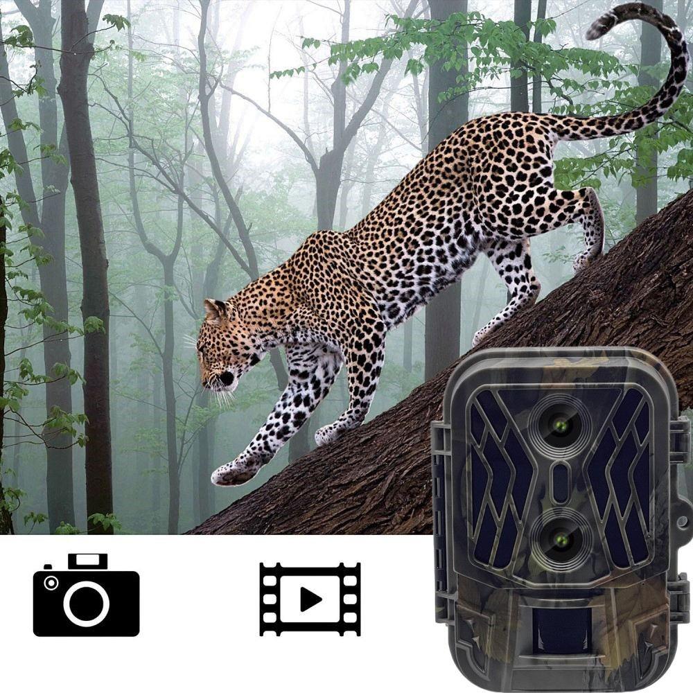50mp 4k Dual Lens Infrared Hunting Camera for Outdoor Rainfall and Fog