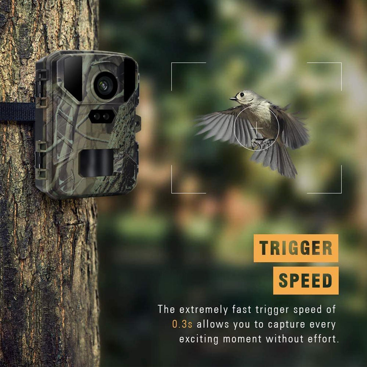 50mp / 4k Mini Wildlife Hunting Camera with Night Vision