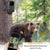 24mp Wifi Hunting Camera with Bluetooth & Night Vision