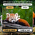 20Mp Hunting Trail Camera With Night Vision And Wildlife Scouting