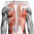 Portable Lumbar And Neck Massager For Car Gray Charging Model - Charging Model Gray