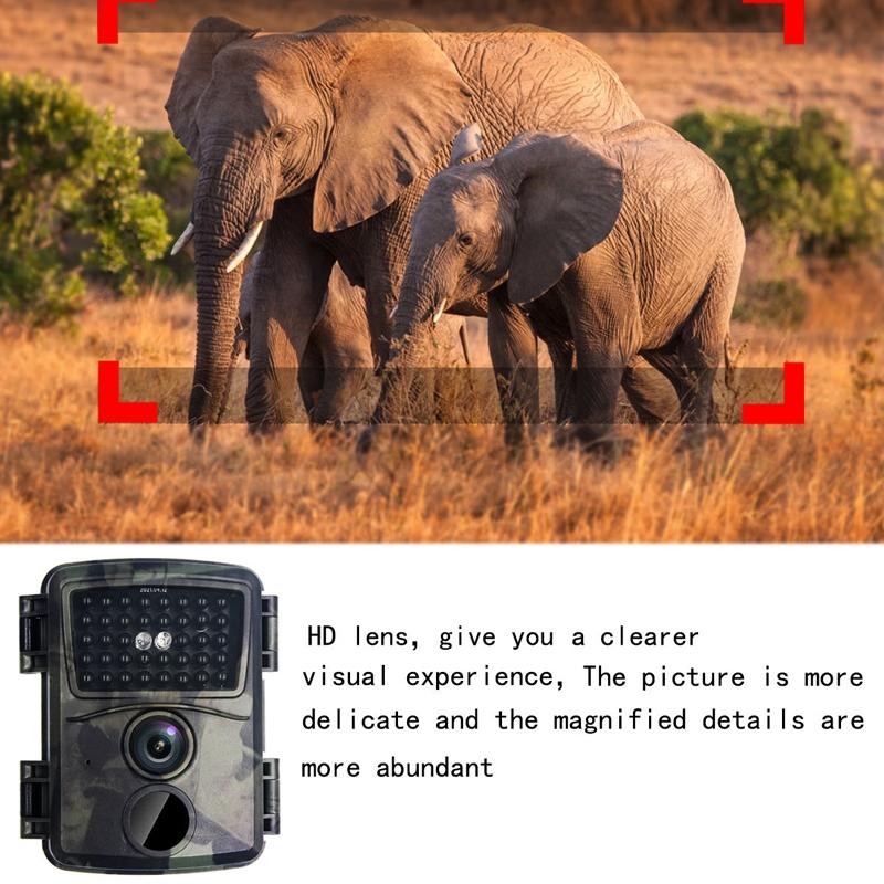 20mp 1080p Infrared Cameras with 38 Ir Lamps for Hd Monitoring