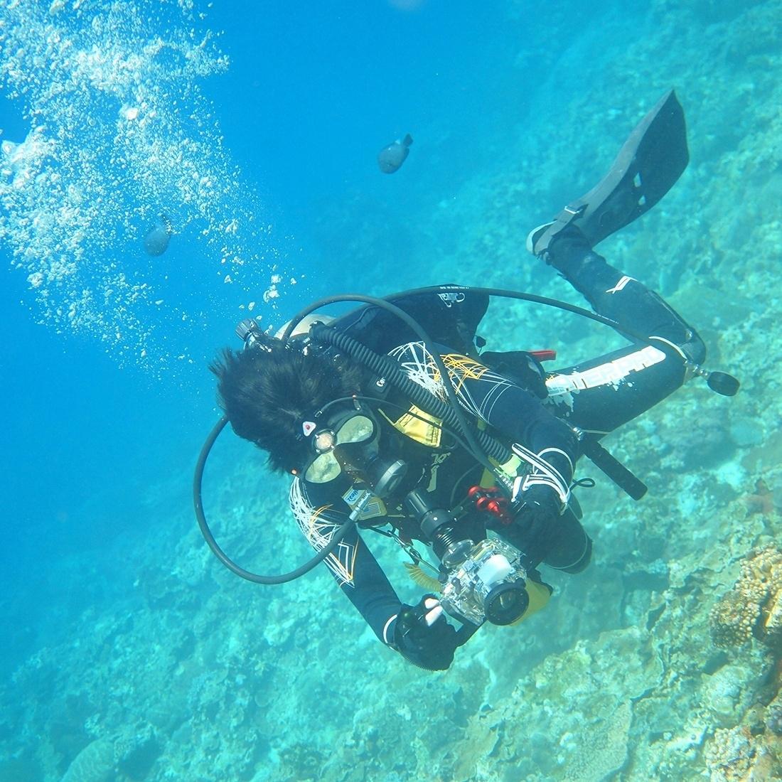 Upgraded Dual Handheld Diving Arm for Underwater Photography