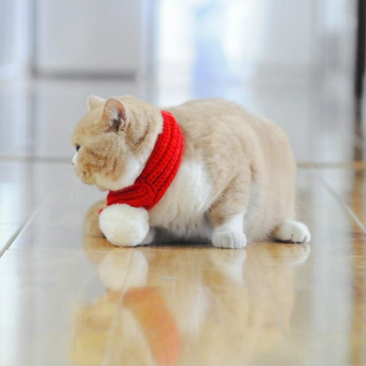 Pet Christmas Wool Scarf Dog Saliva Towel - Size M