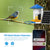 2Mp Wifi Camera With Ai Bird Recognition And Pir Motion Detection