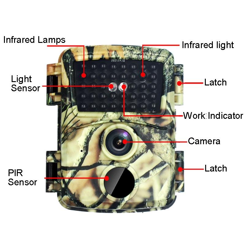 20mp Hd Infrared Hunting Camera with 38 Ir Lights