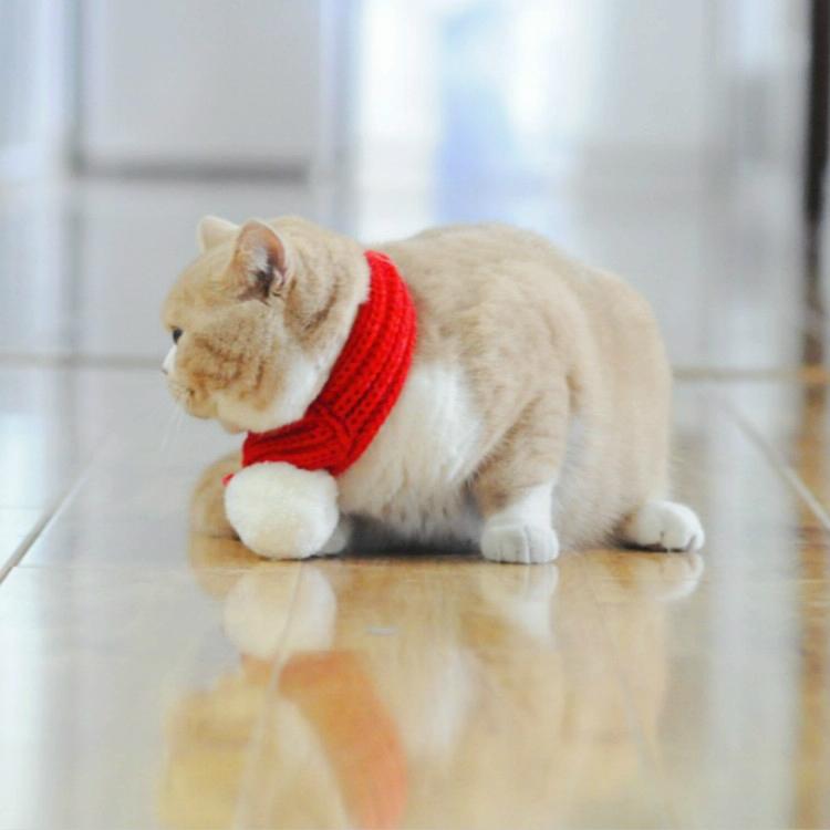 Pet Christmas Wool Scarf For Medium & Large Dog Saliva Towel