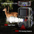 12mp Hd 1080p Mini Hunting Camera for Tracking