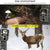 Outdoor Hunting Camera with Night Vision and Infrared Sensing