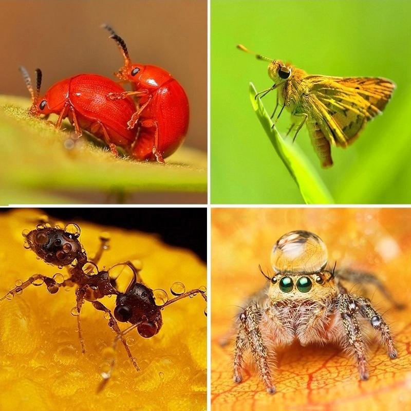 58mm Close Up Lens Filter Set for Gopro Hero3 - 6-in-1 Macro Adapter Ring