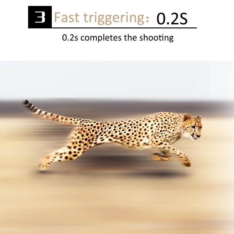 Waterproof Infrared Night Vision Camera for Outdoor Monitoring