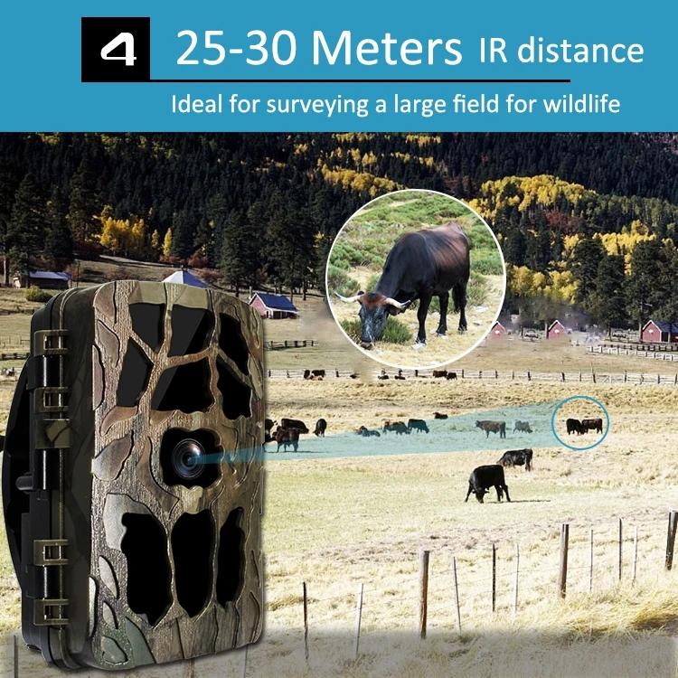 Waterproof Infrared Night Vision Camera for Outdoor Monitoring