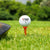 20-pack Golf Ball Tees - Durable 8-point Crown Tip for Competition - Anti-hitting - Yellow