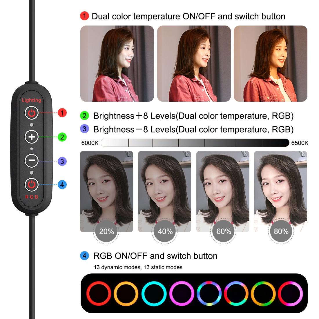 10.2 Curved Led Ring Light with Dual-colour Temperature Remote and Tripod