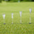 30 Adjustable Golf Tees with 83mm Height Limit - Set of 30 - Blue
