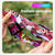 Universal Action Camera Head Strap Mount - Red