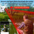 Hd Outdoor Surveillance Camera With Voice Intercom Night Vision Human Detection Tf Card Wifi Ptz Rotation