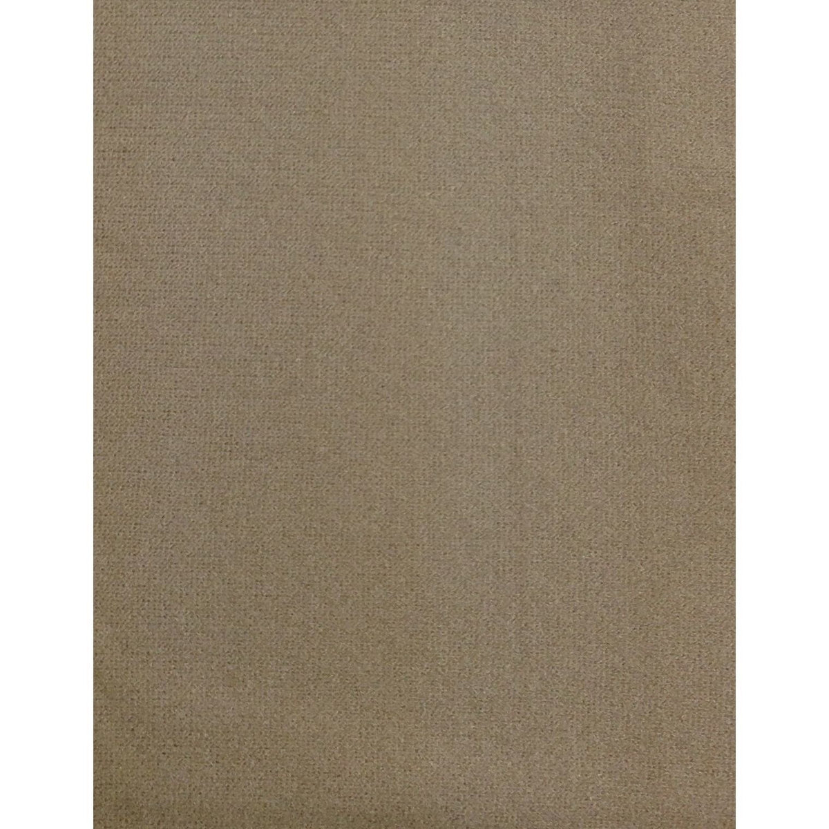 PANTYHOSE Tights Stockings Hosiery Womens Ladies Plain Colours - Beige - One Size Fits Most