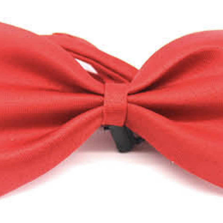 Mens BOW TIE Wedding Tuxedo  Formal Bestman Necktie Classic Plain Party - Red