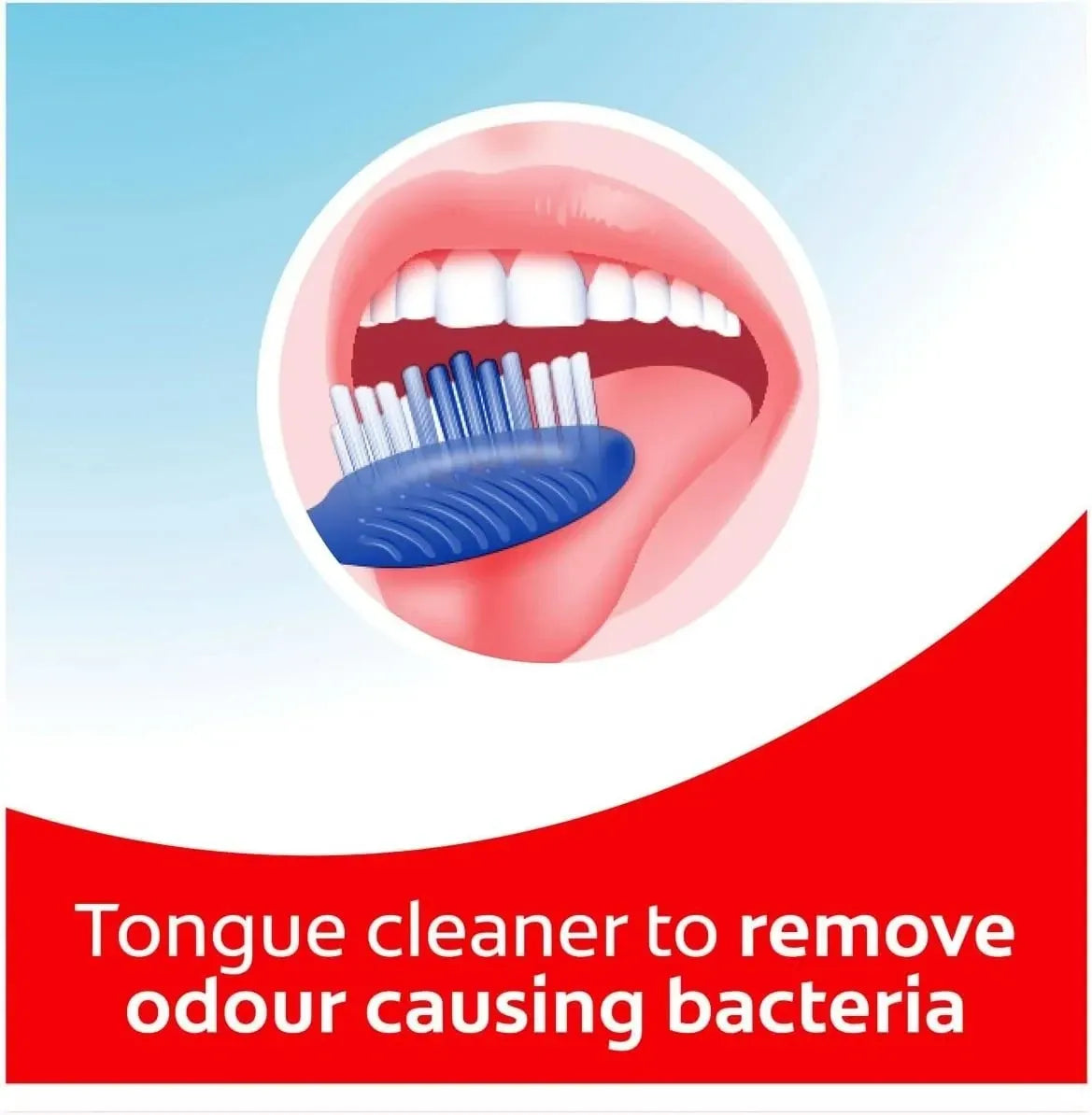 12x Colgate Extra Clean Toothbrush Medium (12 Packs of 1)