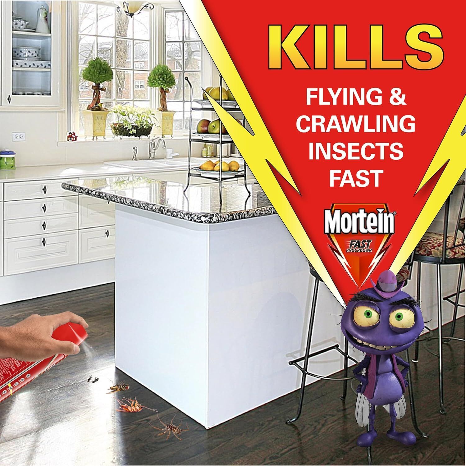 2 Packs of 2 300g Mortein Fast Knockdown Multi Insect Killer Surface Spray (4 Total)