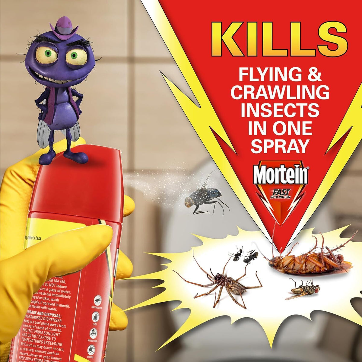 2 Packs of 2 300g Mortein Fast Knockdown Multi Insect Killer Surface Spray (4 Total)