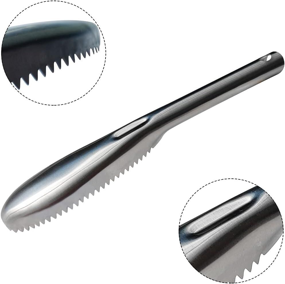 Fish Scale Remover Scaler Scraper Cleaner Kitchen Tool Peeler Gadget