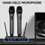Hridz Wireless UHF Microphone Kit Dual Handheld Mics with 100m Range Receiver for Karaoke Meetings Parties