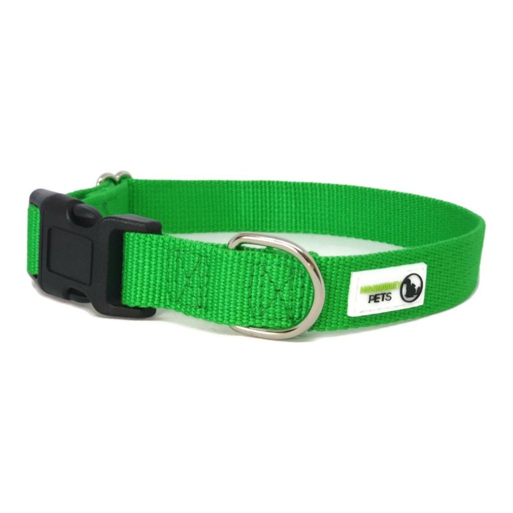 100% Pure Bamboo Fibre Dog Collar Plastic Buckle Medium Green