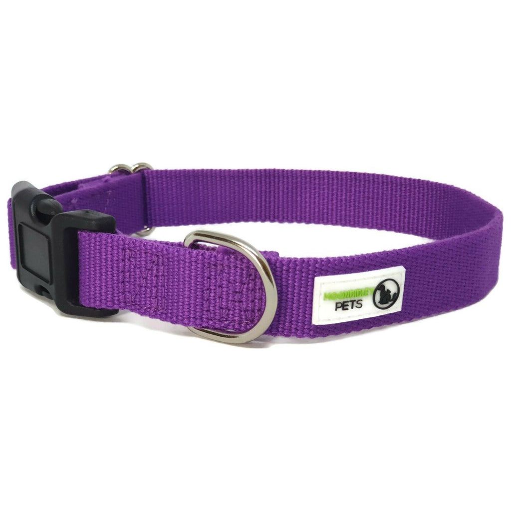 100% Pure Bamboo Fibre Dog Collar Plastic Buckle Large Purple