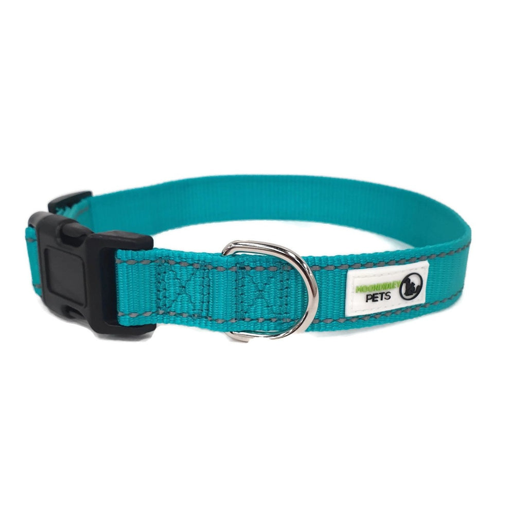 Nylon w/Reflective Stitching Dog Collar Medium Turquoise