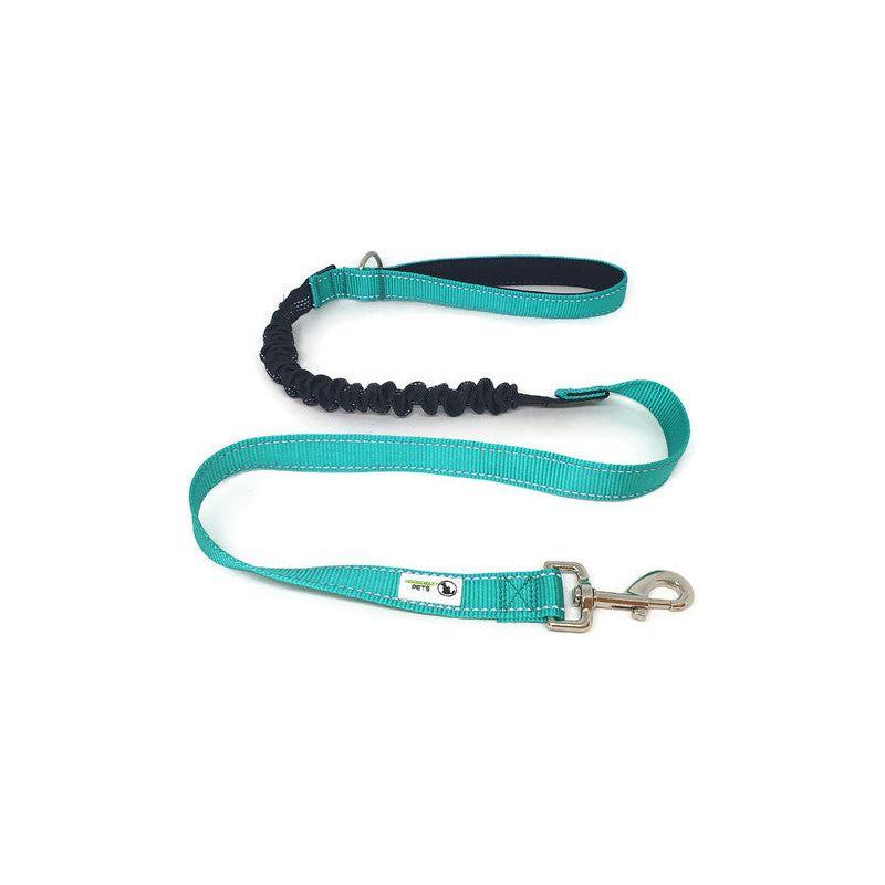 Bungee Dog Lead Nylon w/Reflective Stitching Turquoise