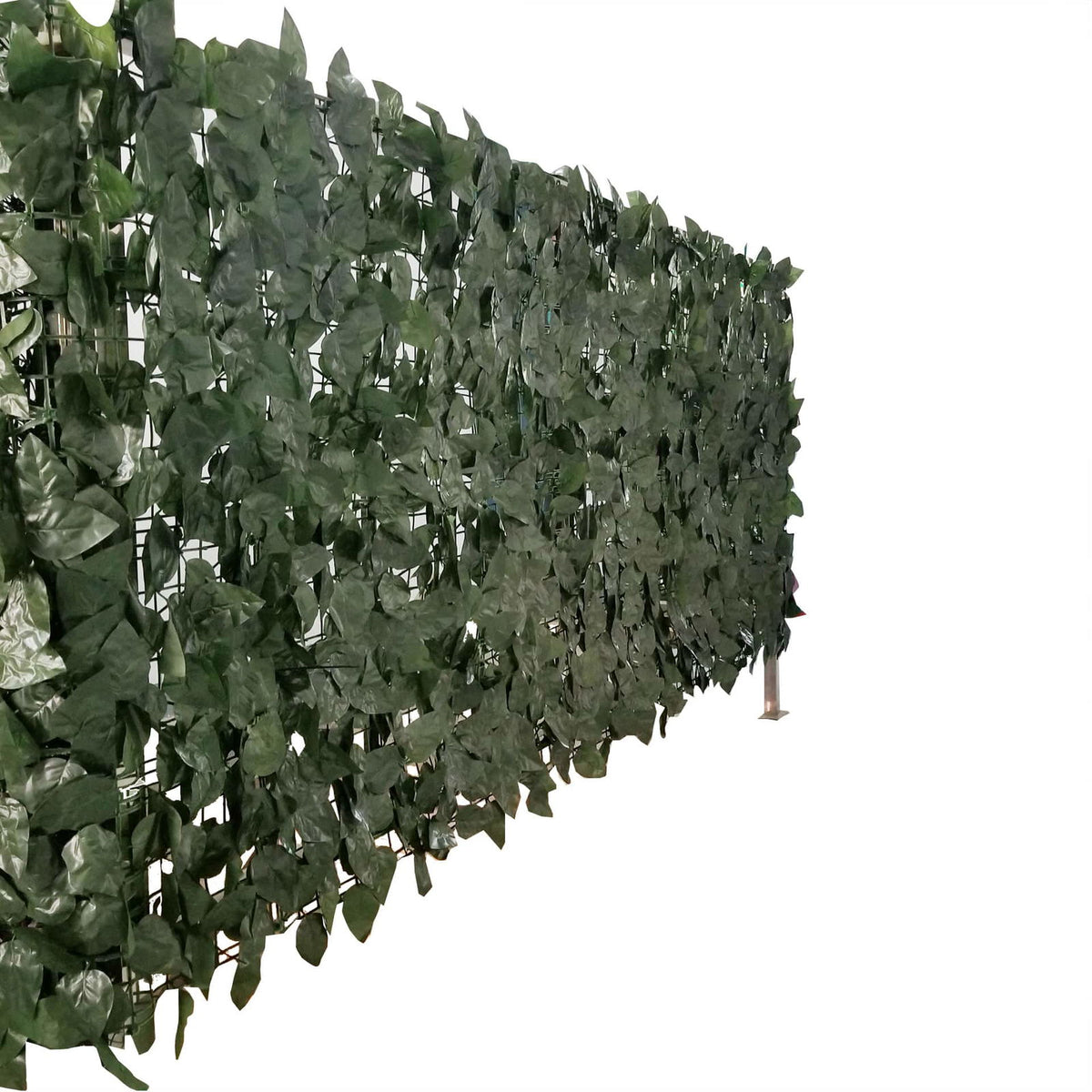 Artificial Ivy Leaf Hedging 3M x 1M Roll (Fake Ivy Roll)