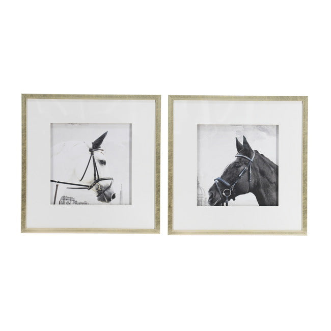 Set 2 Horse Framed Prints 56cm