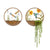 Set 2 Asst Humming Bird Wall Planters 39cm