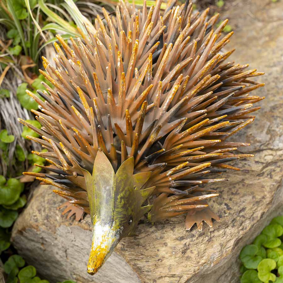 Rust Hedgehog Garden Ornament 36x22cm