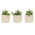 Set 3 Moulded Abstract Planters w Hole + Plug 14cm