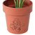 Set 2 Line Art Pot planters Assort 13cm
