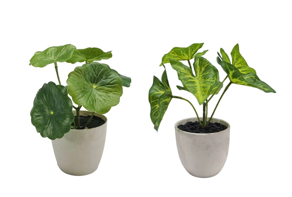 Set 2 Artificial Taro &amp; Lotus Plant In Plastic Pot 7x15cm